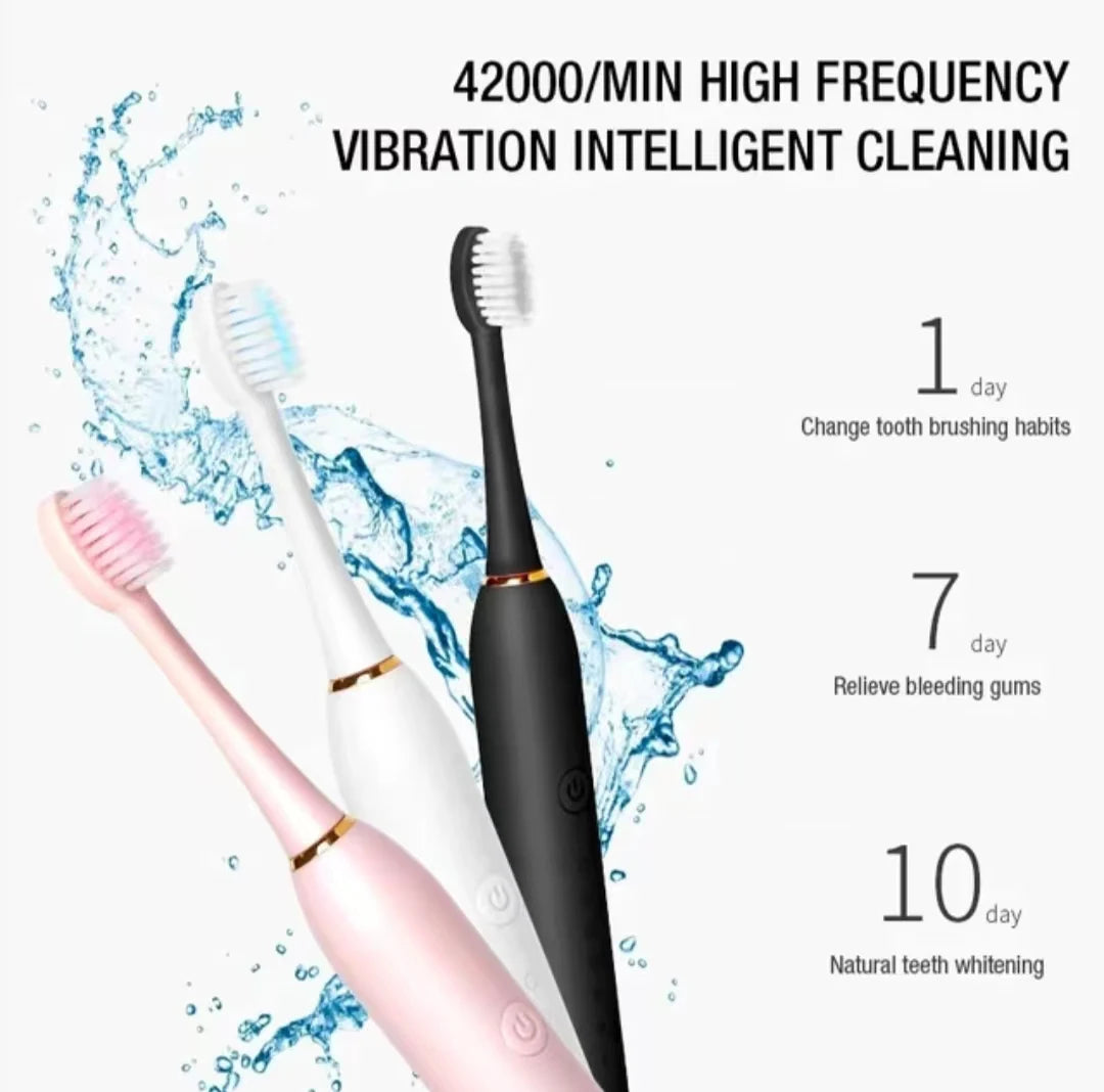 Sonic Electric Toothbrush for Adults, IPX7 Waterproof DuPont Brush Head, USB Rechargeable, High Frequency Cleaning, 6 Cleaning Modes